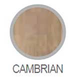 cambrian az