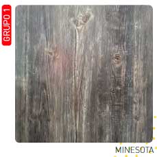 minesota